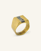 Meridian Ring – Brass