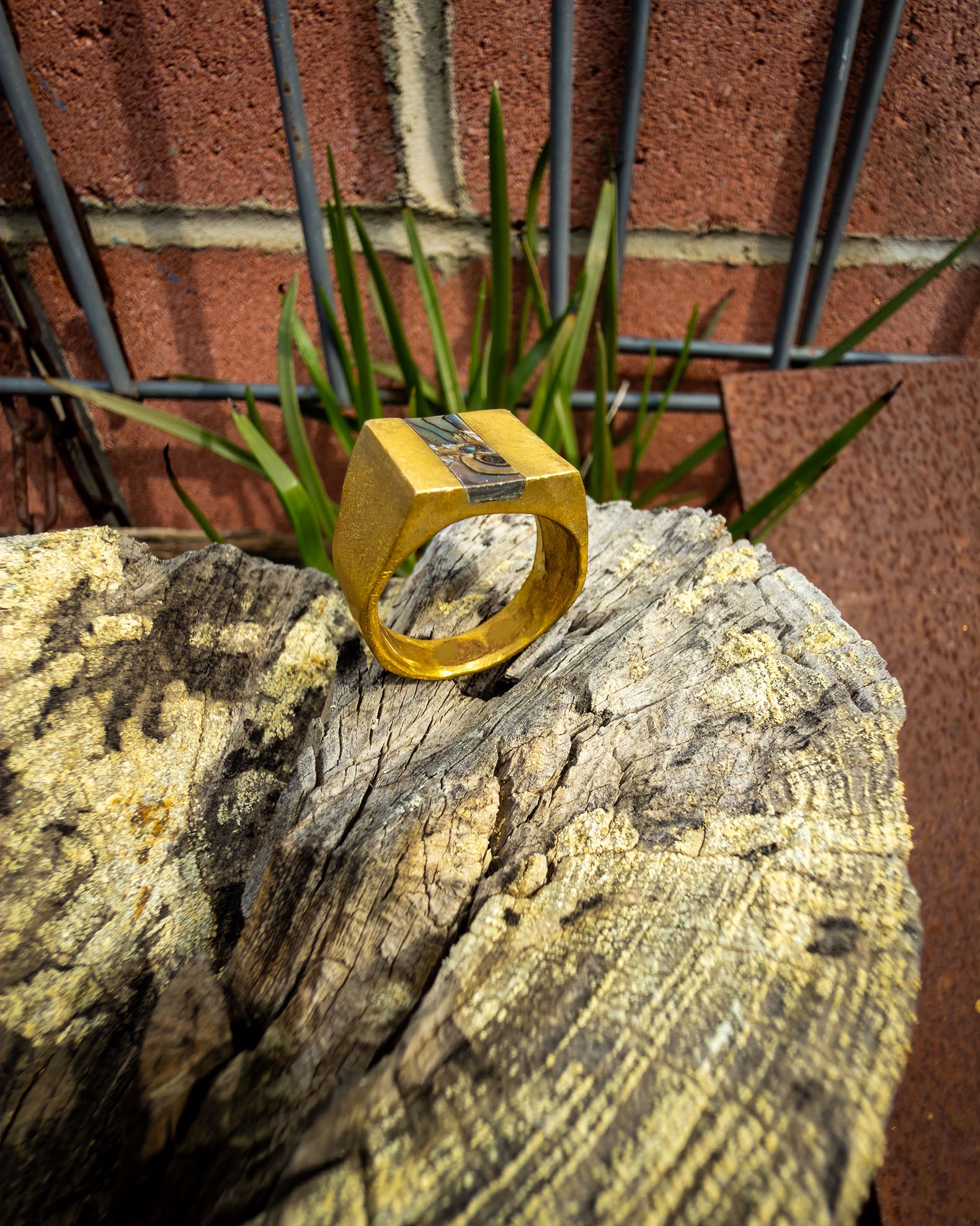Meridian Ring – Brass