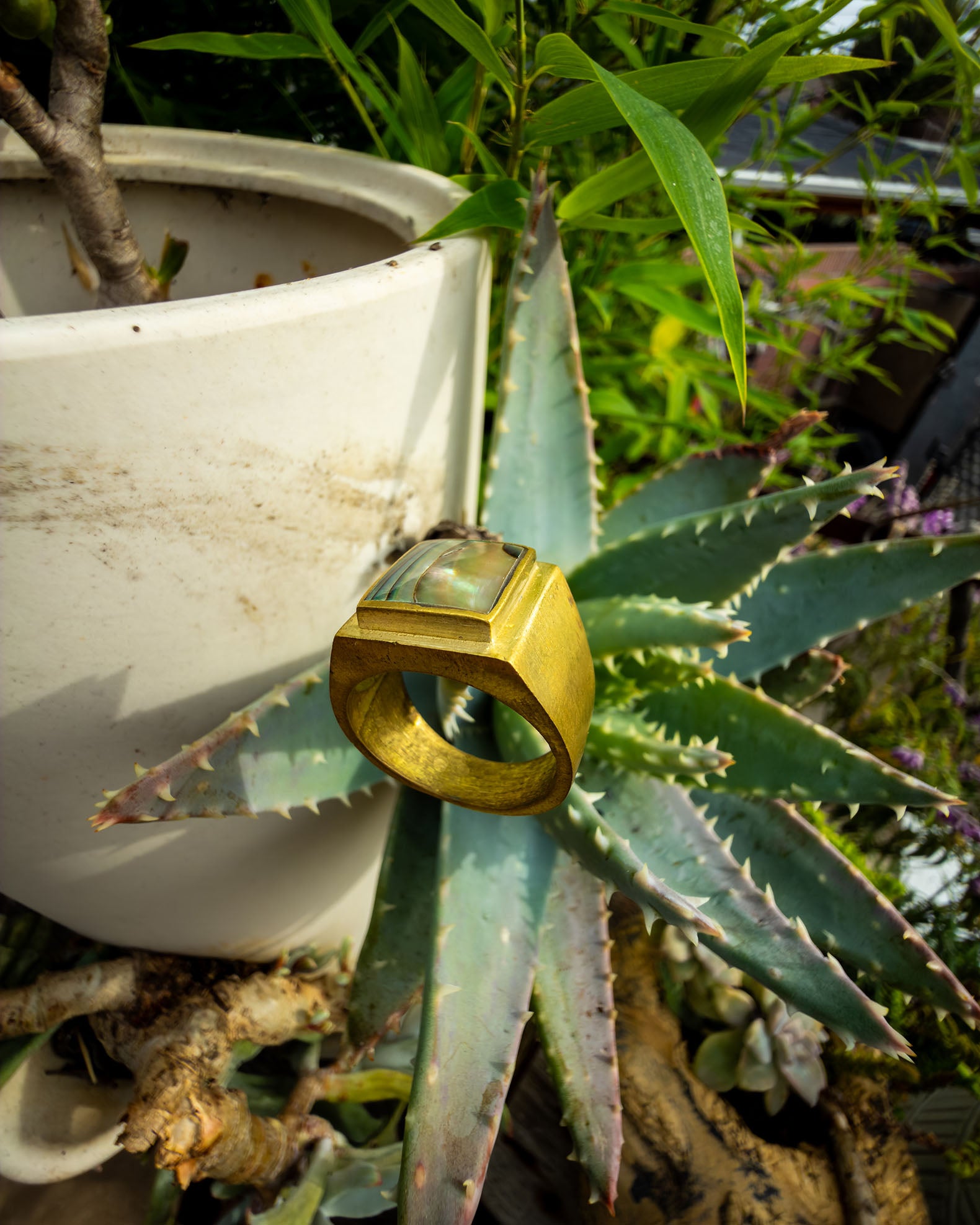 Reef Ring – Brass