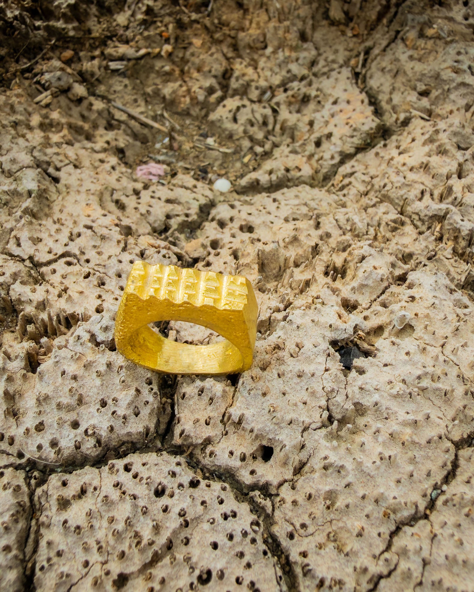 Rasp Ring – Brass